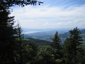 Blick vom Chrinnenberg zum Zrichsee
